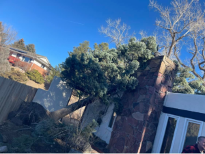 A large tree fallen against a house and chimney, requiring emergency tree removal by Mountain Men Tree Service, Denver, CO.