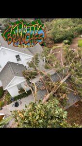 A large tree fallen onto a house roof, requiring emergency tree removal services from Knotty Branches Tree Service in Macon, GA.