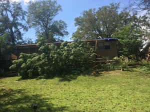 A large tree has fallen onto a house, causing storm damage and requiring cleanup and repair from H&H Construction of Columbus, LLC in Columbus, GA.