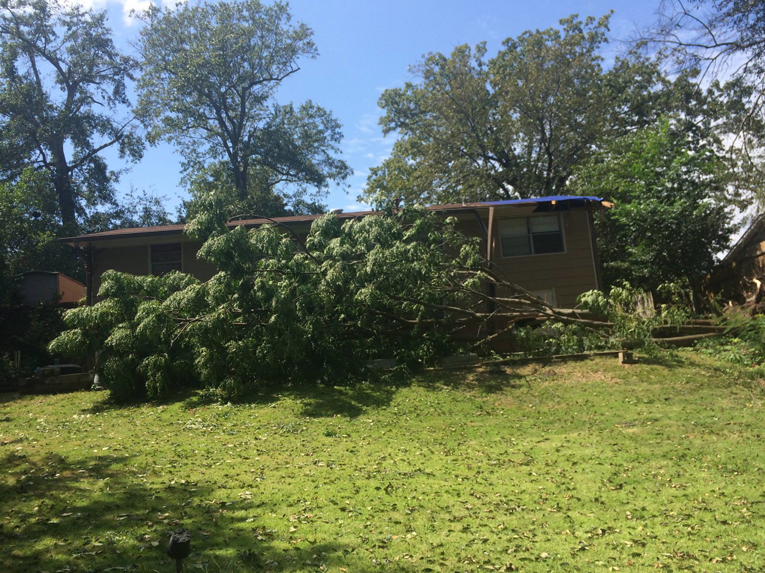 A large tree has fallen onto a house, causing storm damage and requiring cleanup and repair from H&H Construction of Columbus, LLC in Columbus, GA.
