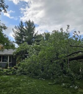 A large tree fallen over a residential house, showing storm damage requiring Marv's Tree Service in Omaha, NE.