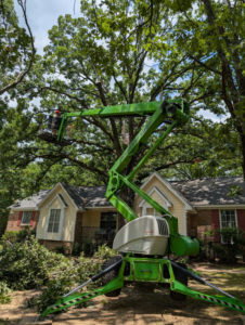 A large green boom lift with a worker performing tree pruning services for Hughes Tree and Landscaping in Poolesville, MD.
