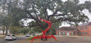 A red spider lift positioned for large tree pruning services near a street and building by GrowGreen Professional Tree Service in Baton Rouge, LA.