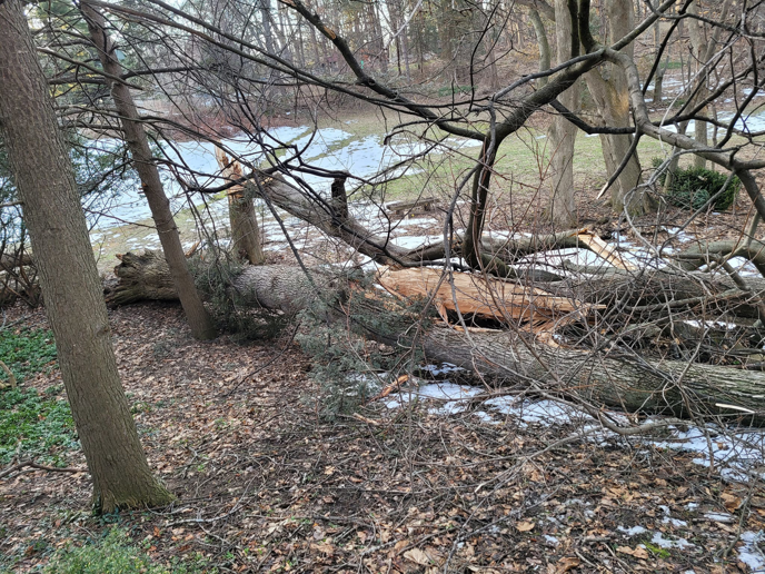 A large broken tree trunk and branches removed by McGee's Tree Service LLC in Rochester, NY.