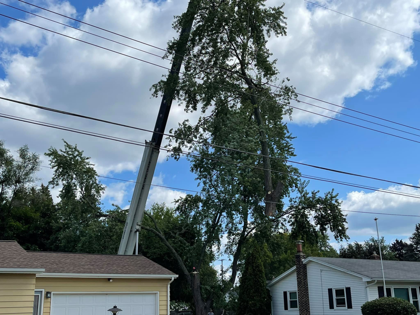 A large tree being removed by a crane near power lines, showcasing the work of Tip Top Tree Care in Grand Rapids, MI.