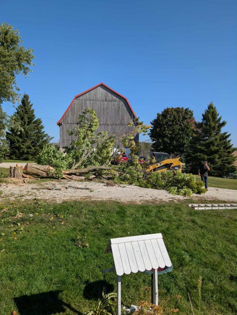 A large tree removal project with a cut tree and worker by A&A Property Renovations LLC in Green Bay, WI.