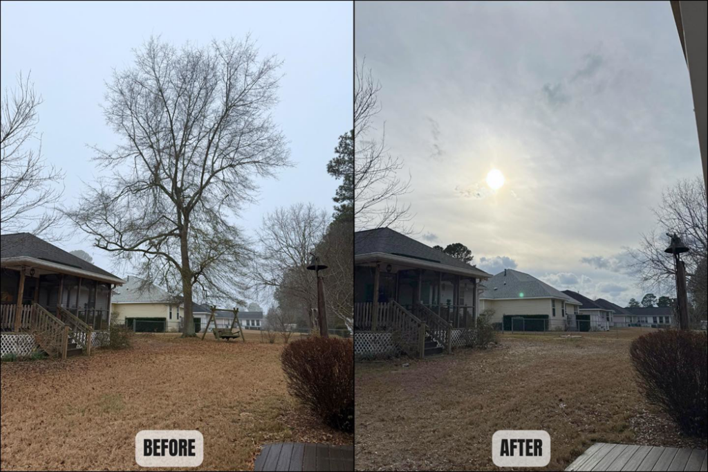 Before and after photo of a large tree removed from a residential backyard by BW Tree Removal in Aiken, SC.