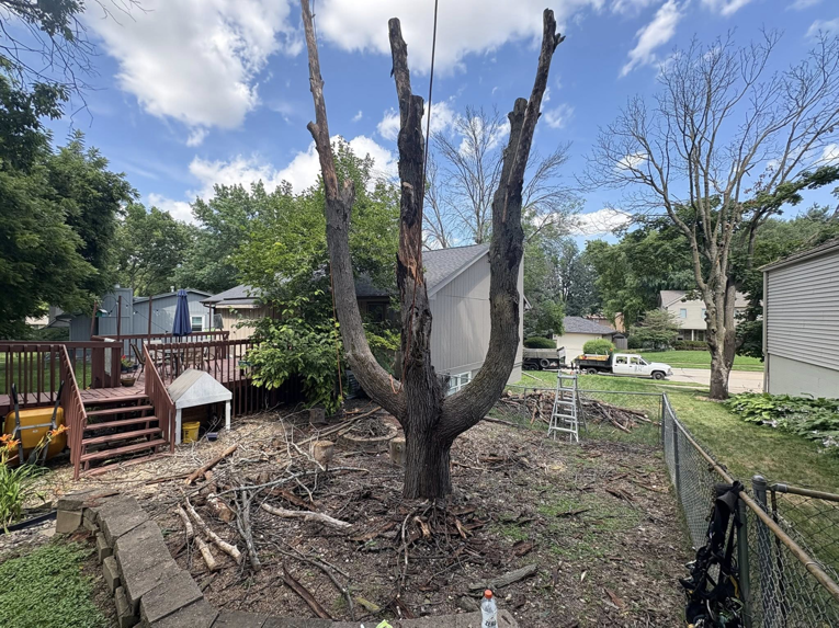 A large tree after significant removal, showing the main trunk and cut branches, with debris in the yard by Rooted Tree & Home Services LLC in Des Moines, IA.