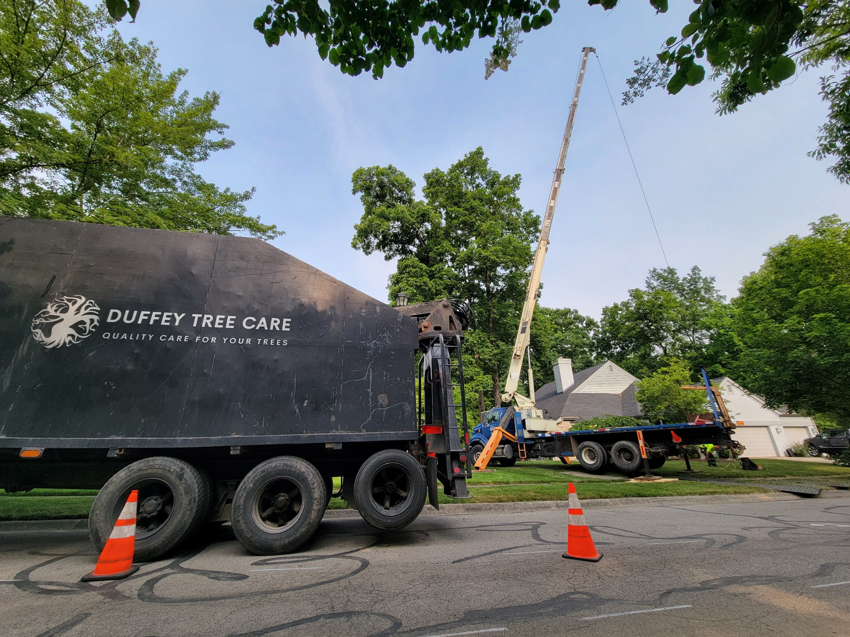 A large tree service truck with an extended crane boom positioned near a house by Duffey Tree Care in Brandon, FL.