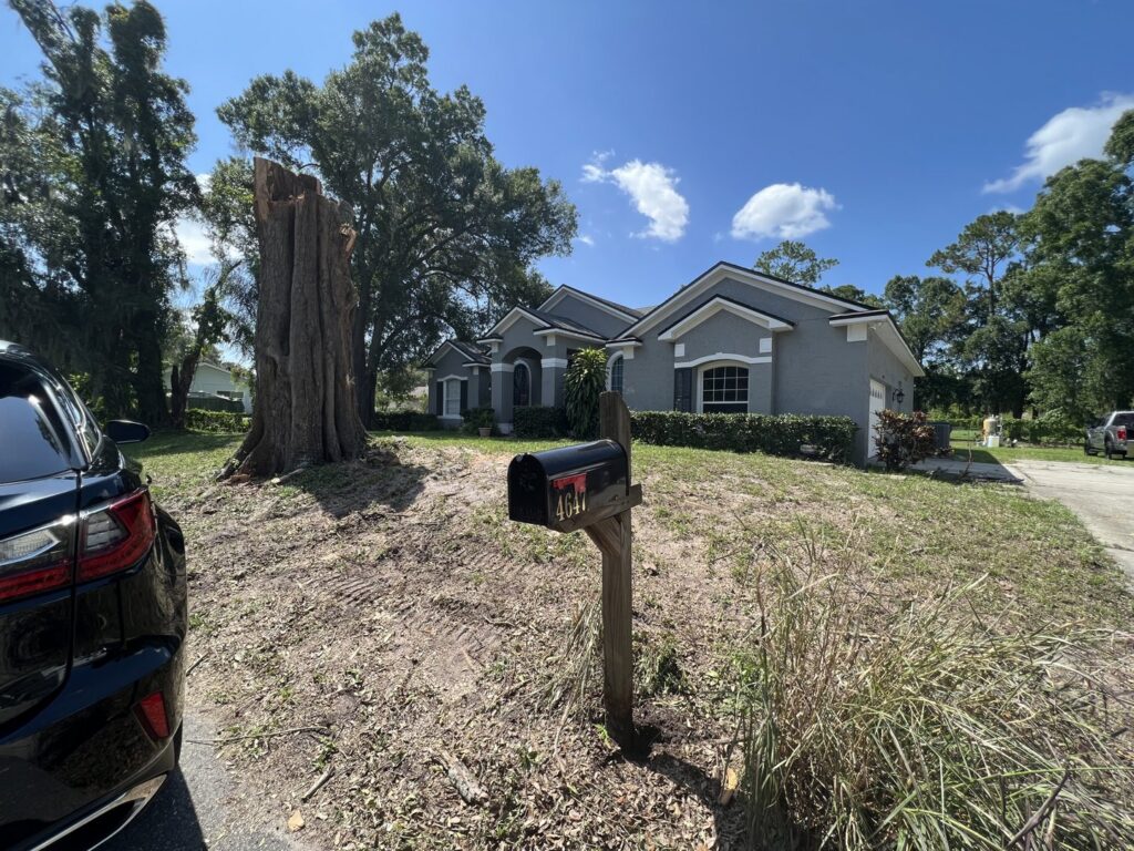 A large tree stump remaining after a tree removal service by Blaze Tree Service Inc in Orlando, FL