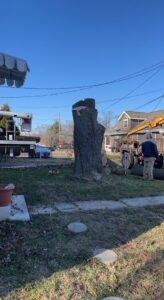 A large tree stump and cut logs on the ground after a tree removal service, with equipment in the background by K.M.C Lawn & Tree service in Peoria, IL.