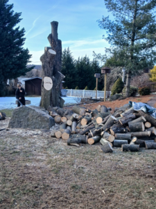 A large tree stump and a pile of freshly cut logs after tree removal by RJ Robinson Family Tree Service LLC in York, PA