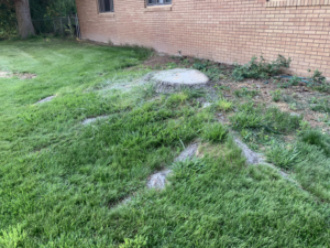 A large tree stump with visible roots in a residential yard, a typical job for Idaho Stump Grinding in Twin Falls, ID.