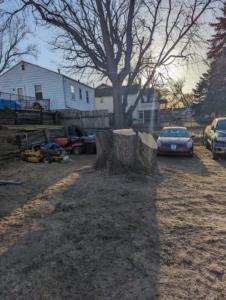 A large tree stump remaining after tree removal in a residential backyard by S.O.S tree service in Sioux City, IA.