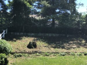A large tree stump in a recently cleared area, showing tree removal or stump grinding work by Cabral's Landscaping in East Providence, RI.