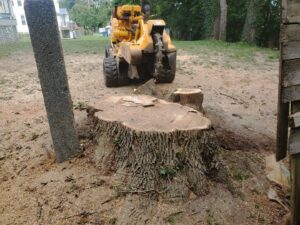 A large tree stump with a stump grinder visible in the background, surrounded by wood chips from work by Grind Time Tree Service in Wilmington, DE.