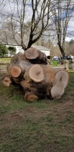 A large tree stump after removal by American Tree Service, Inc. in Coventry, RI.