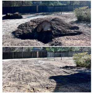 Before and after of a large tree stump removal service by Robert & Sons Tree Service in Augusta, GA
