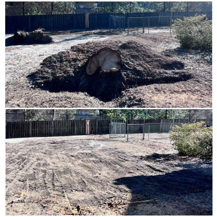 Before and after of a large tree stump removal service by Robert & Sons Tree Service in Augusta, GA