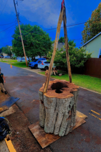 A large tree stump section on the ground, prepared for removal by Quality Tree Service, L.L.C in Kenner, LA.