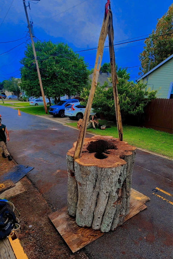 A large tree stump section on the ground, prepared for removal by Quality Tree Service, L.L.C in Kenner, LA.
