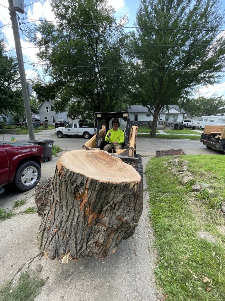 A large tree stump being efficiently removed with a skid steer by Capital Tree Company, providing comprehensive tree services in Des Moines, IA.