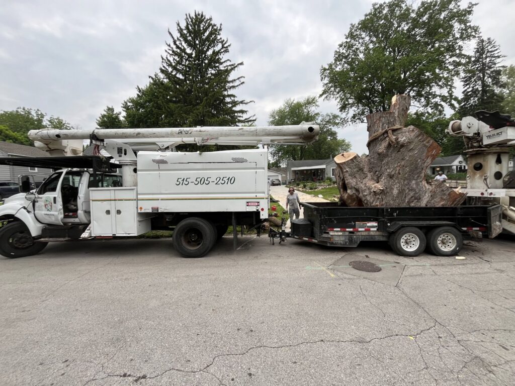 A large tree service truck with a trailer transports a huge tree stump for Southern Accent Tree Service in West Des Moines, IA.