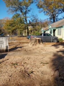 A large tree stump surrounded by sawdust, indicating recent tree removal and cleanup by Jacinto's Tree Services in Montgomery, AL.