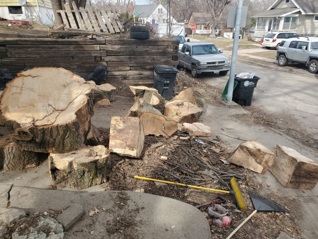 Large tree stumps and branches piled up for removal by A1 Junk Removal Of Tucson, AZ.