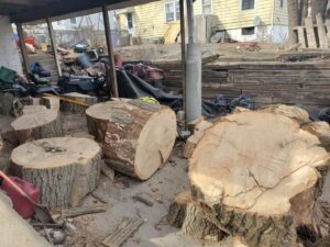 Large tree stumps and logs piled under a deck, ready for removal by A1 Junk Removal Of Tucson, AZ.