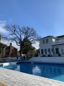A large tree near a house and pool, expertly trimmed by Victor Solis Tree Service in Norfolk, VA, to maintain property safety and aesthetics.
