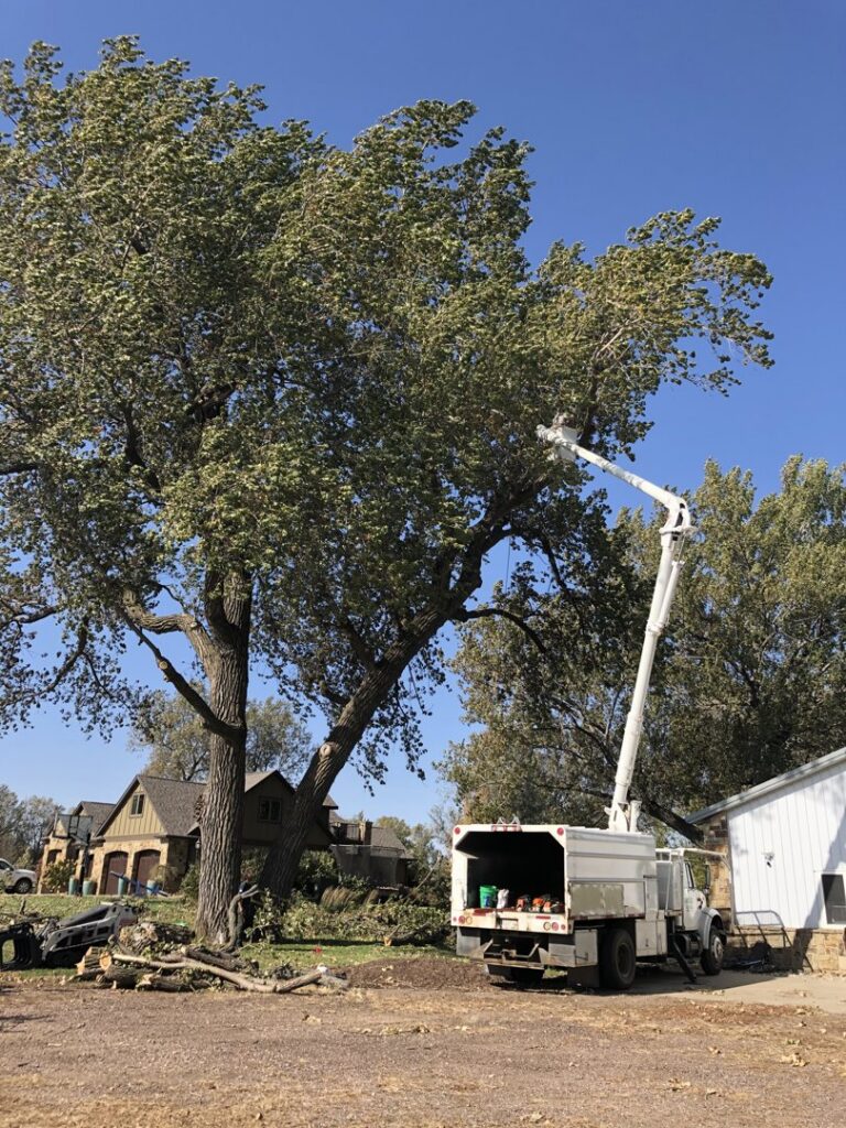 A large tree being trimmed with a bucket truck, showing debris on the ground from Toben Tree Service in Yankton, SD.