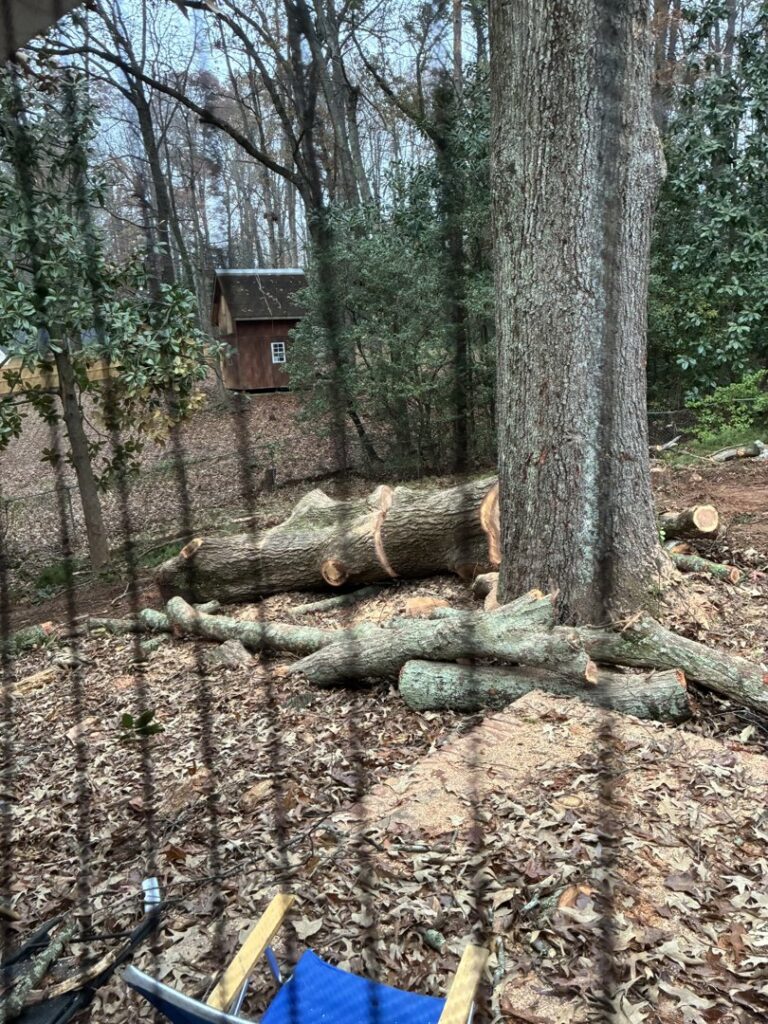 A large tree trunk and cut branches on the ground after service by Elegant Tree Service in Atlanta, GA.