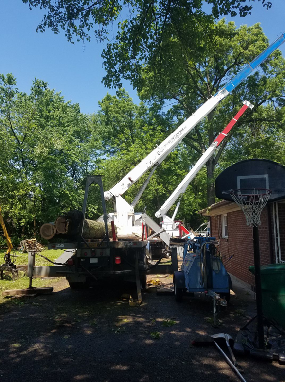 A large tree trunk section being loaded onto a truck by a crane during a tree removal by Climb-Ax Tree Service in Louisville, KY