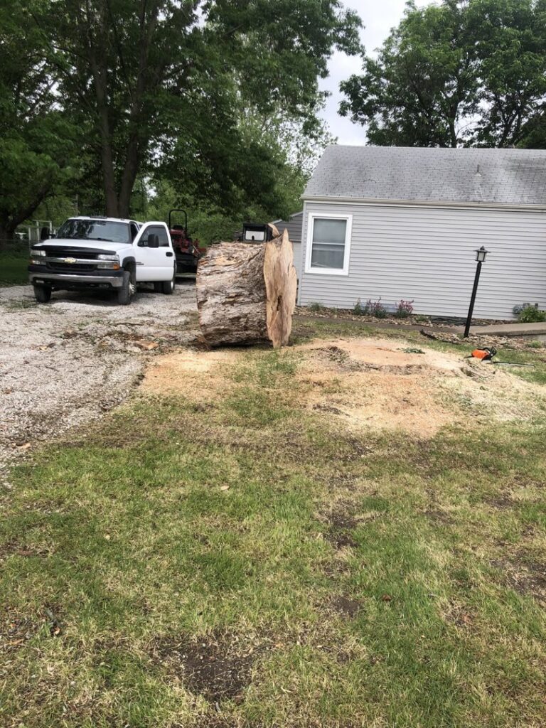 A very large tree trunk section lying on the ground after a tree removal service by Superior Tree and Stump LLC in Topeka, KS.