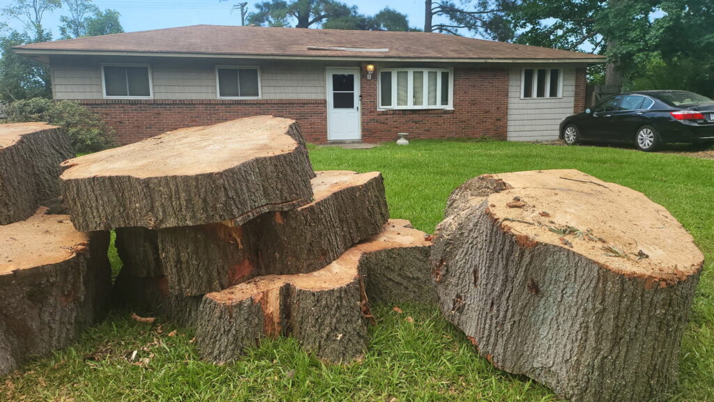 Large sections of a tree trunk piled on a lawn after removal by Marshall's Tree Service in Virginia Beach, VA
