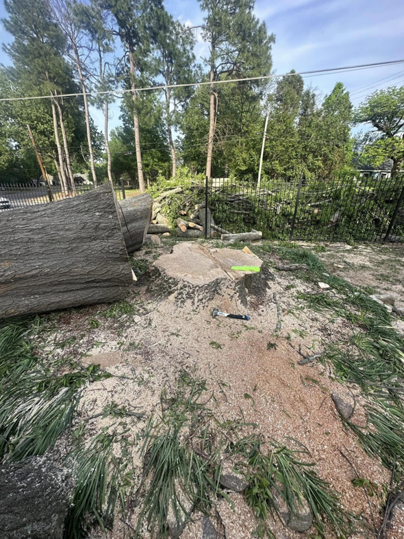 A large tree trunk and stump on the ground after a tree removal service by Johnson & Sons Tree Service in Memphis, TN.