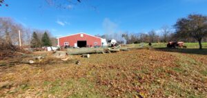 Large tree trunks cut down and lying in a field with a chainsaw nearby, showing tree removal by Canter Tree & Stump Solutions in Indianapolis, IN.