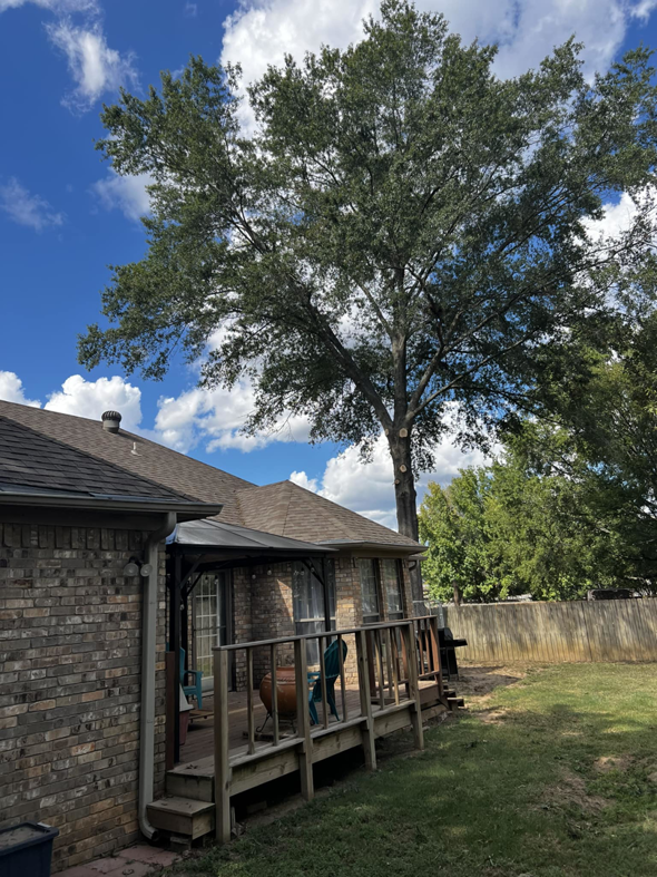 A large tree showing fresh cuts from recent pruning work by Castle Tree Service in Conway, AR.
