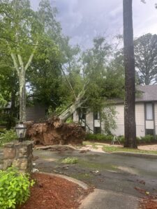 A massive uprooted tree has fallen onto a residential property, requiring urgent removal by Log and Leaf Tree Service in Hoover, AL.