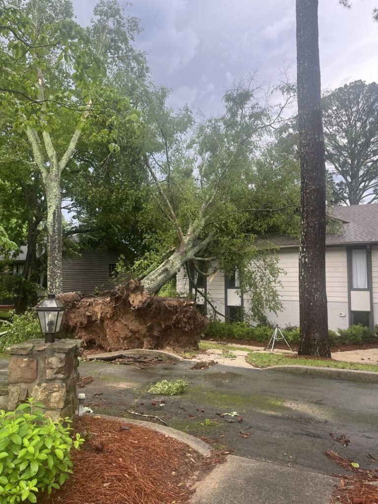 A massive uprooted tree has fallen onto a residential property, requiring urgent removal by Log and Leaf Tree Service in Hoover, AL.