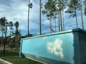 A light blue roll-off dumpster, partially filled with wood and general debris, in a residential area from Waste Master Dumpster Rental Orlando, FL.