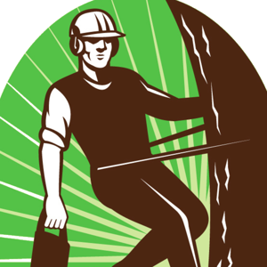 Little Rock Tree Service Pros