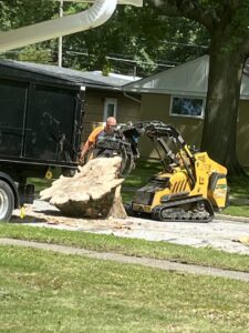 A worker using a mini skid steer with a grapple to load a large tree stump into a dump truck for Dave's Tree & Stump Removal LLC in Parma, OH.