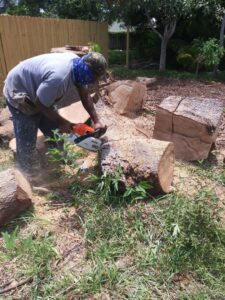 A worker cutting large tree logs with a chainsaw on the ground as part of a tree removal service by MJ'z Tree and Landscaping Service LLC in Fort Lauderdale, FL.