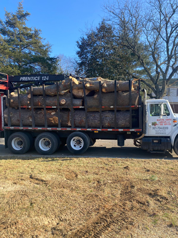 A Beautiful Country Tree Services truck loaded with logs for hauling and disposal in Gaithersburg, MD.