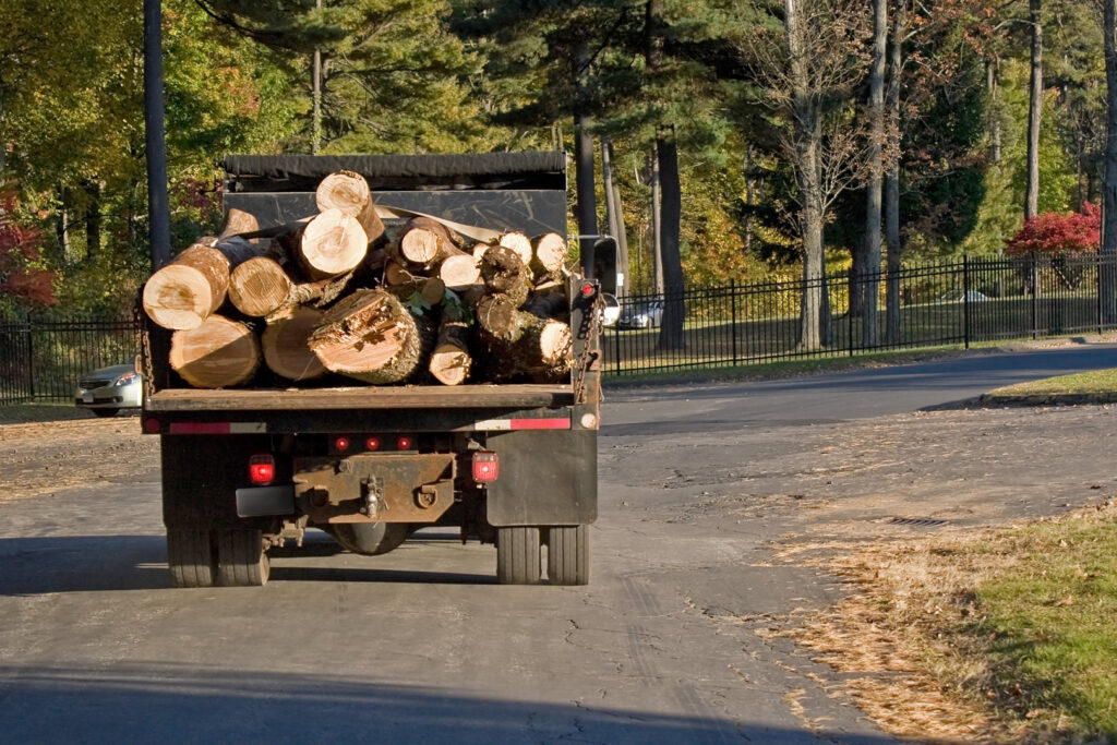 A dump truck loaded with cut logs being hauled away after tree removal by Little Rock Tree Service Pros in Little Rock, AR.