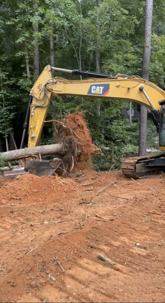 Trucks loaded with large logs, ready for transport after tree removal by Tree service Rigoberto peraza in Atlanta, GA.