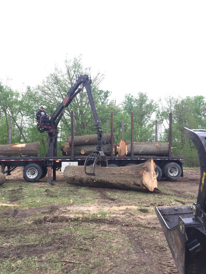 A crane loading large tree logs onto a flatbed trailer after tree removal by Robles Tree Service in Detroit, MI.