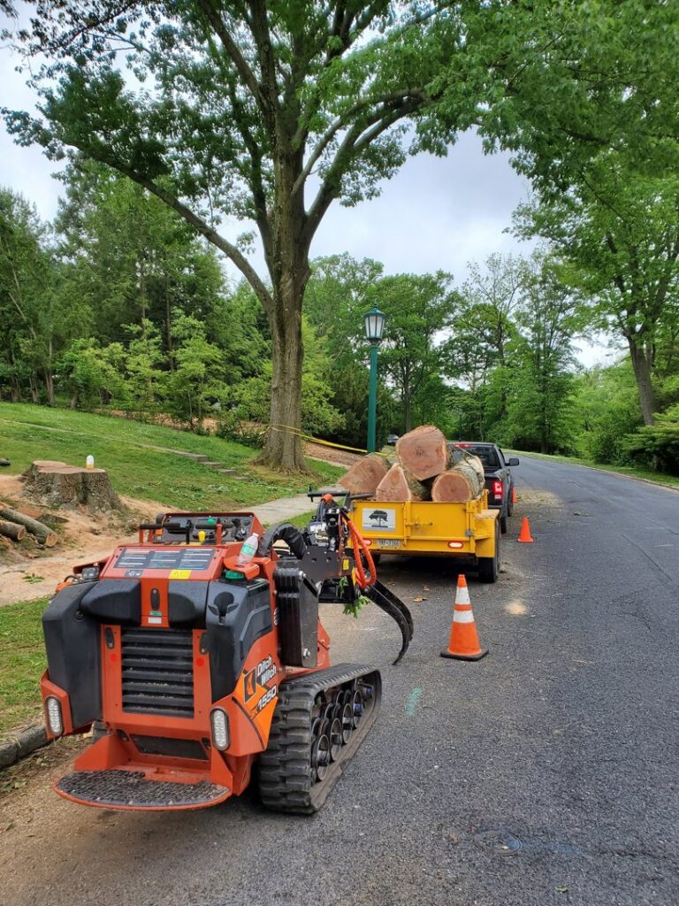 A mini-skid steer and trailer full of logs on a residential street after tree removal by Morgan Brothers Tree Care Solutions in Birdsboro, PA